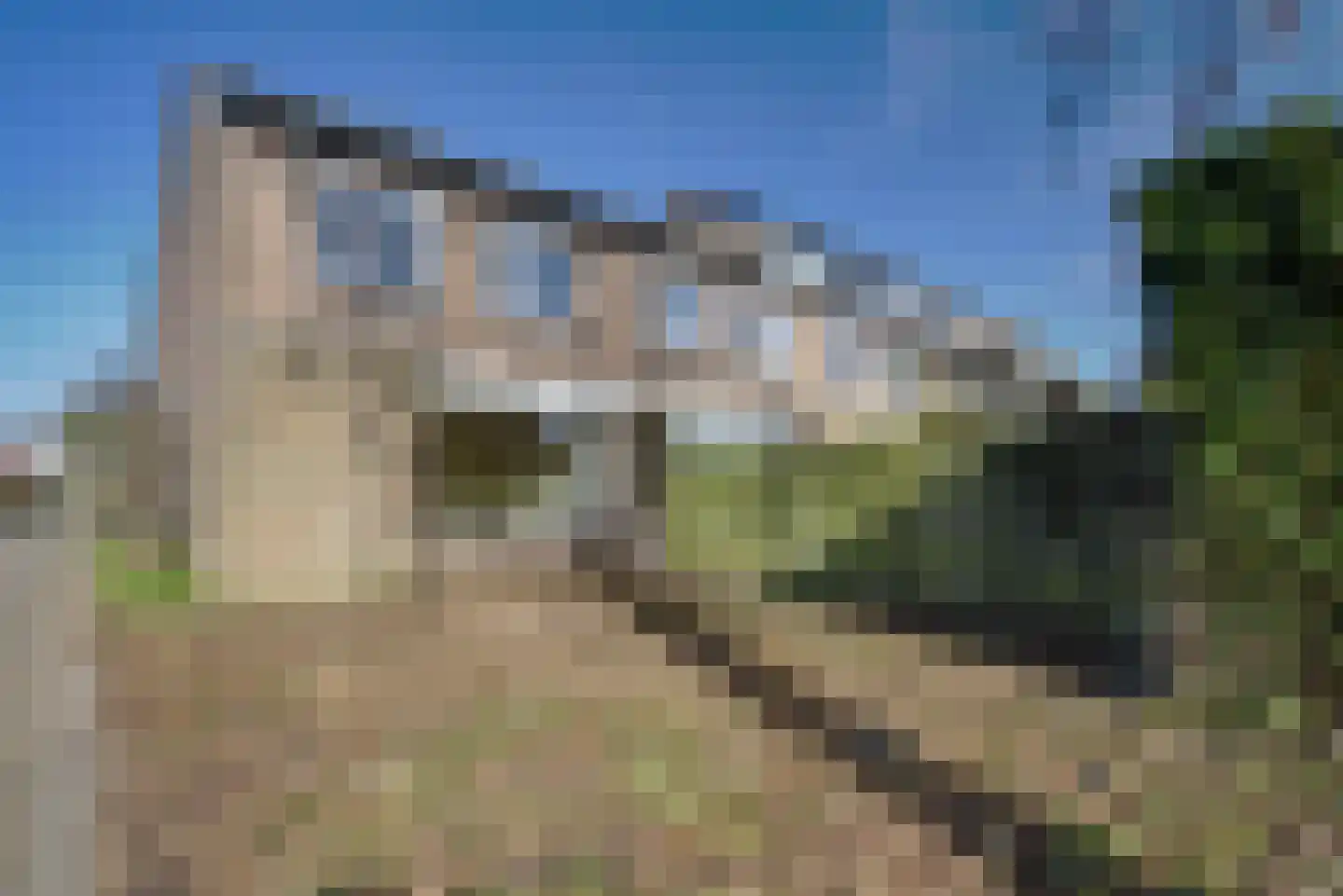 Braambes 1 Leiden thumbnail 18
