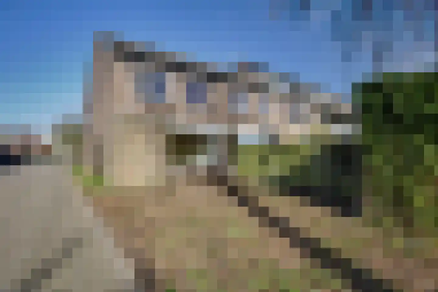 Braambes 1 Leiden thumbnail 19