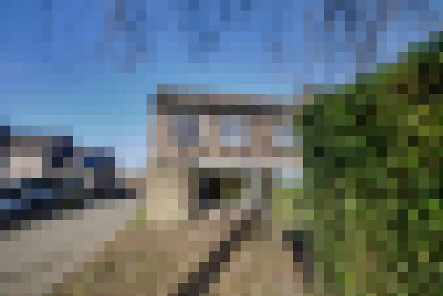 Braambes 1 Leiden thumbnail 20