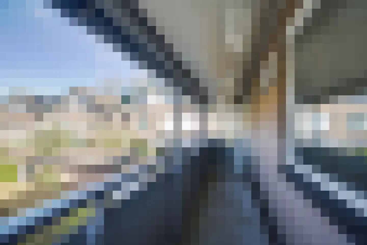 Braambes 1 Leiden thumbnail 26