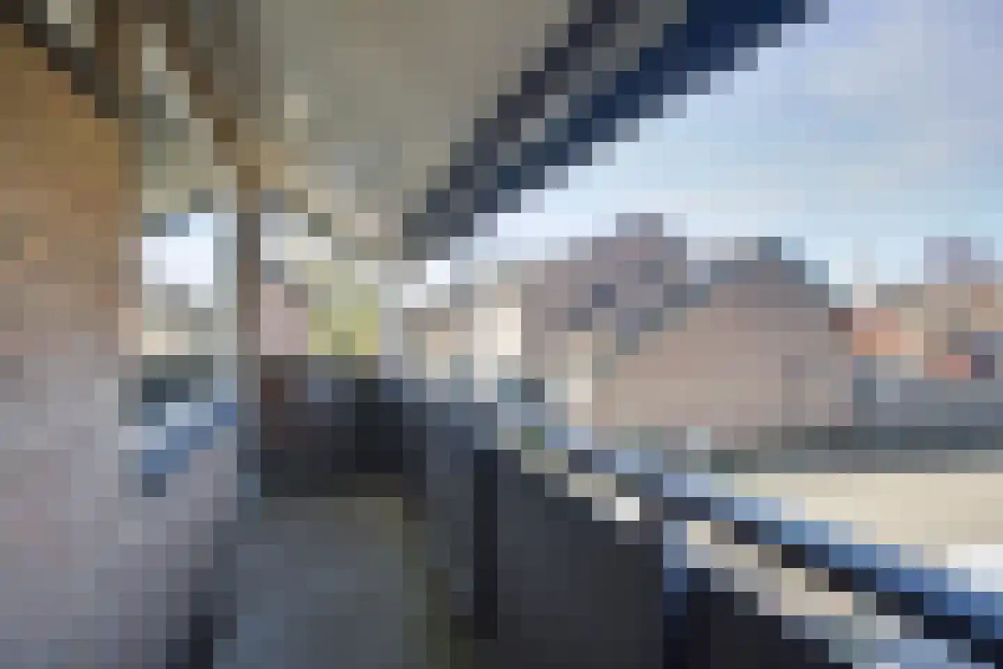 Braambes 1 Leiden thumbnail 27