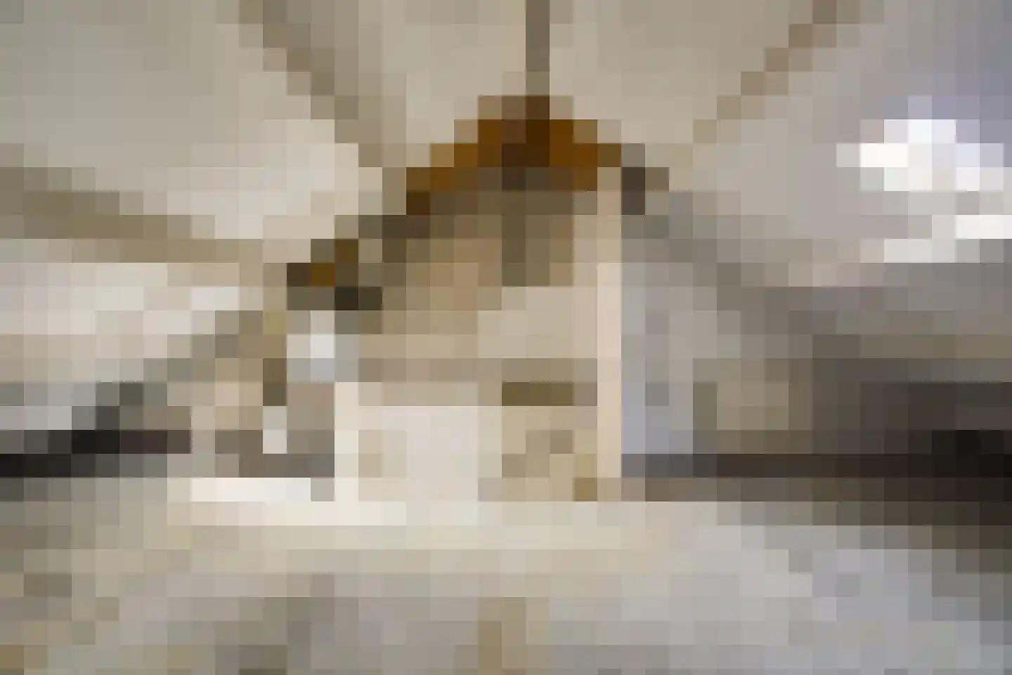 Braambes 1 Leiden thumbnail 32