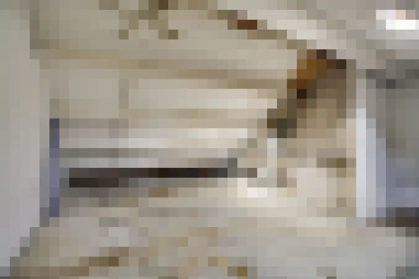 Braambes 1 Leiden thumbnail 33