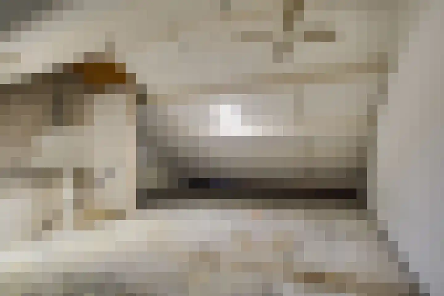 Braambes 1 Leiden thumbnail 34