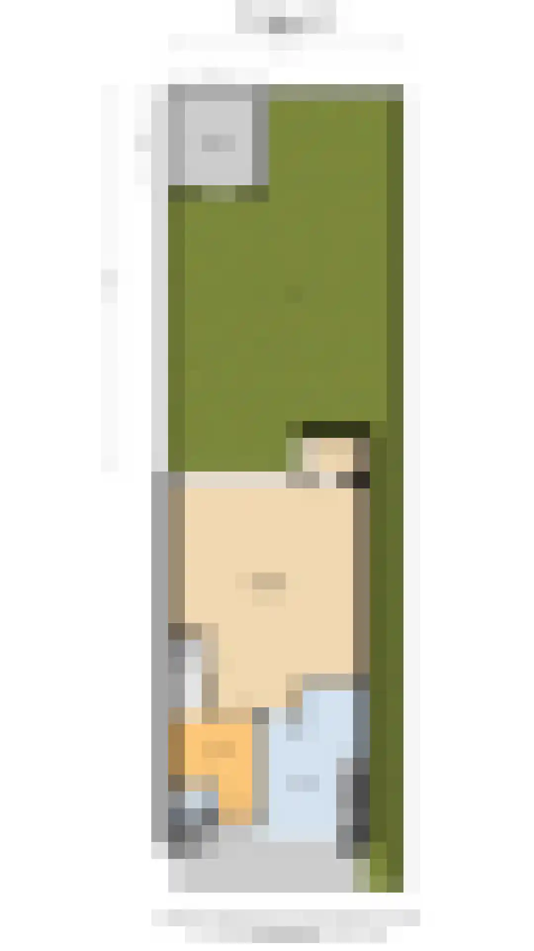 Braambes 1 Leiden thumbnail 38