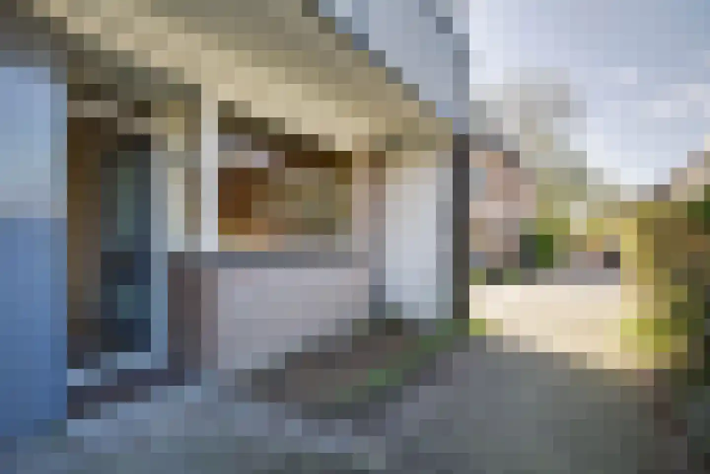 Braambes 1 Leiden thumbnail 4