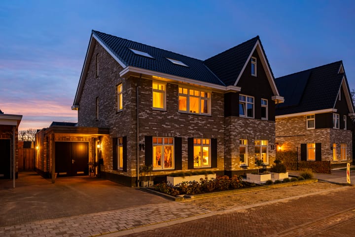 Braambes 11 in Borne photo