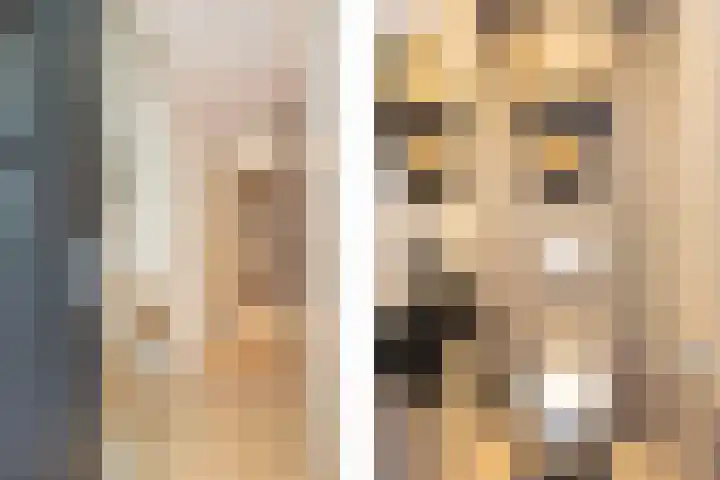 Braambes 11 Borne thumbnail 11