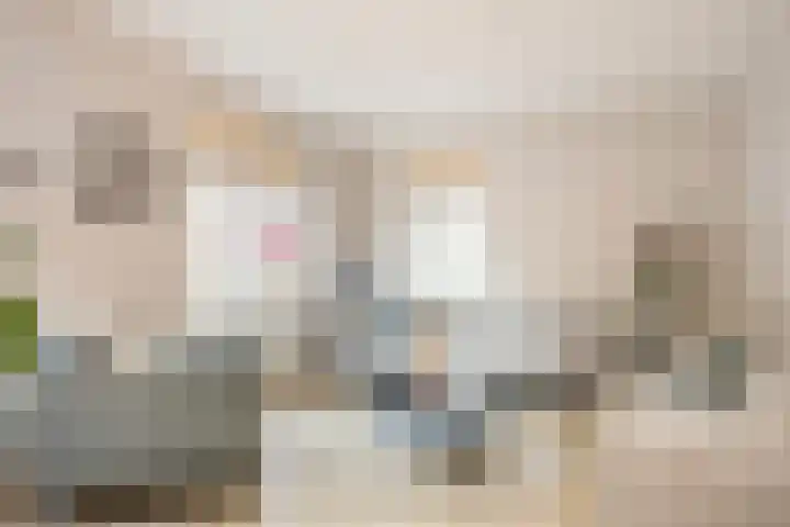 Braambes 11 Borne thumbnail 13