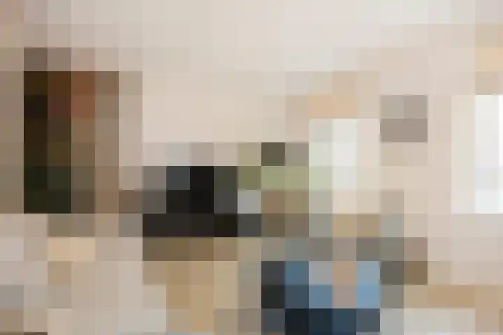 Braambes 11 Borne thumbnail 14