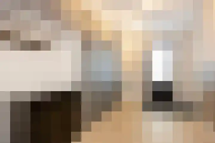 Braambes 11 Borne thumbnail 19
