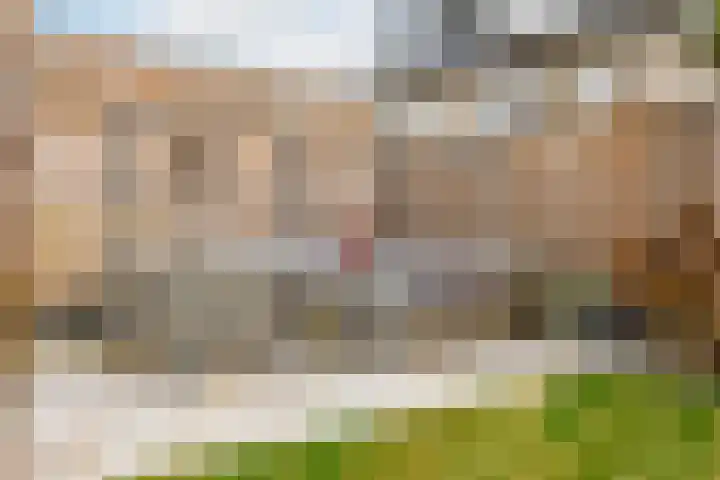 Braambes 11 Borne thumbnail 37