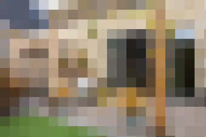 Braambes 11 Borne thumbnail 38