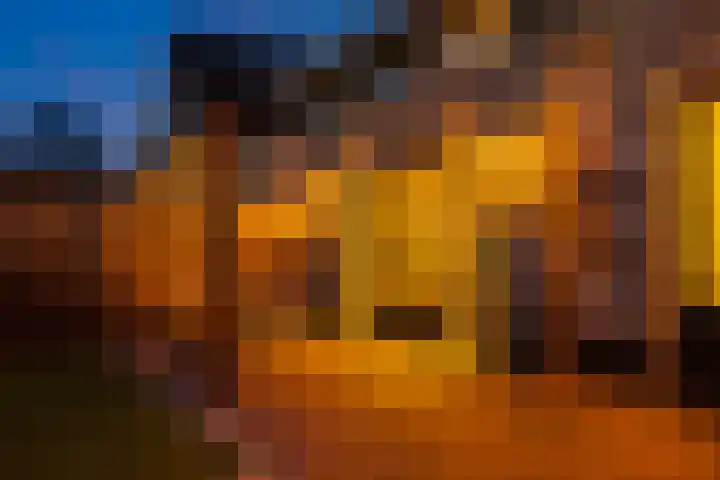 Braambes 11 Borne thumbnail 39