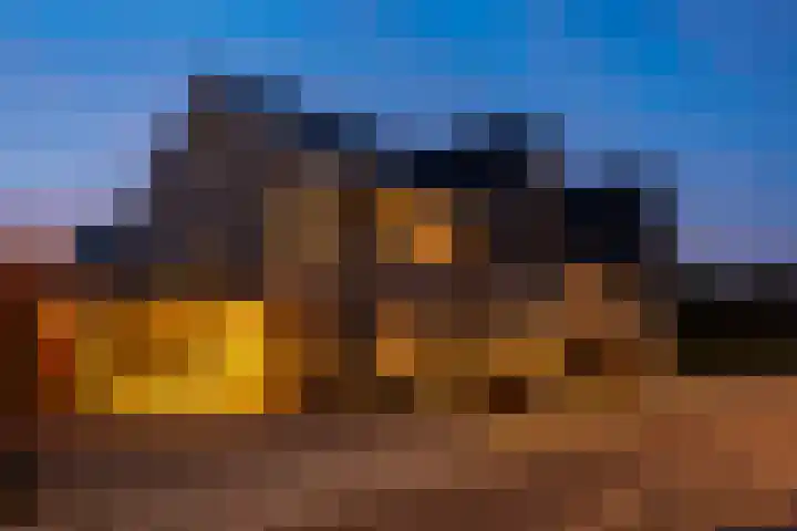 Braambes 11 Borne thumbnail 40