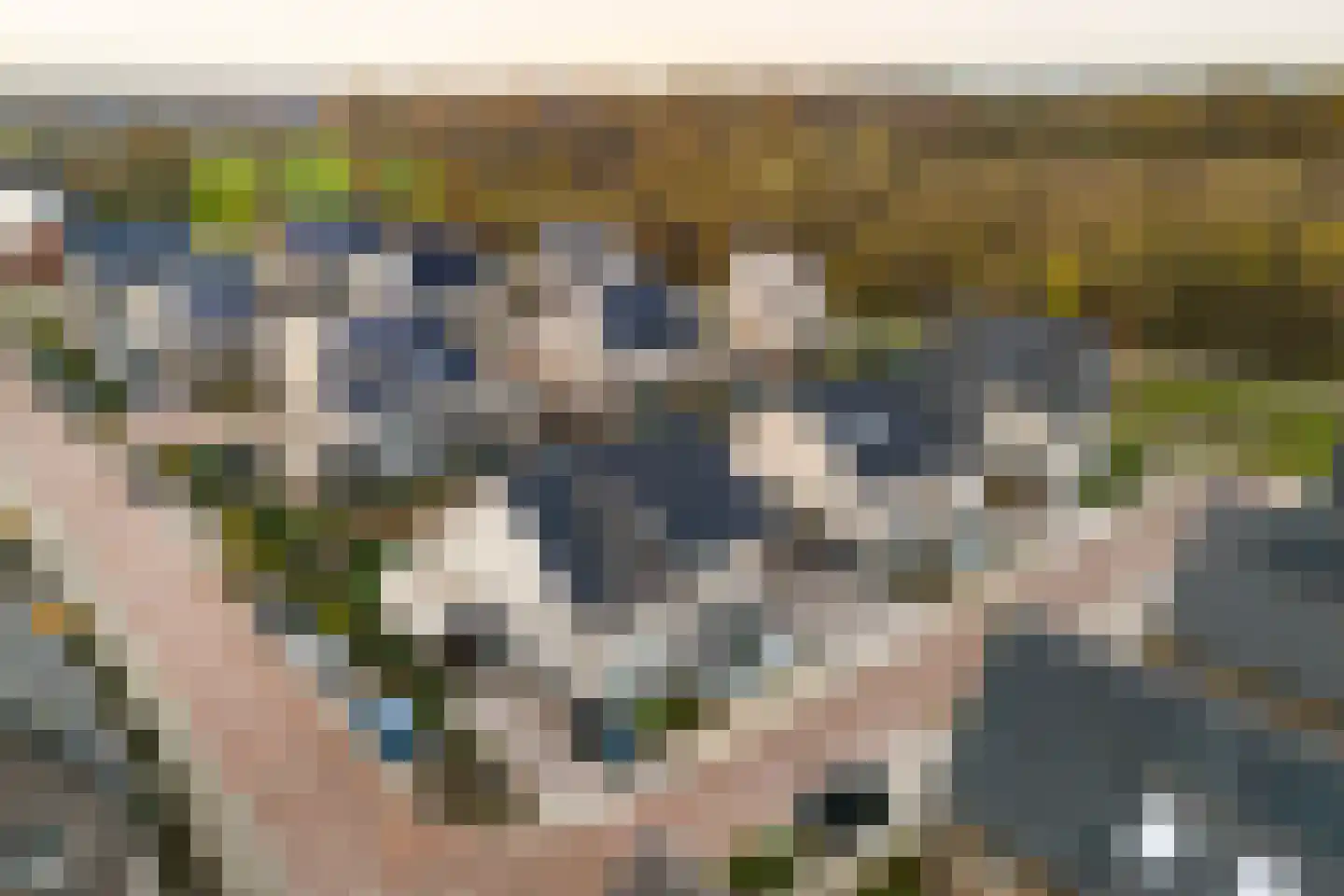 Braambes 11 Borne thumbnail 43