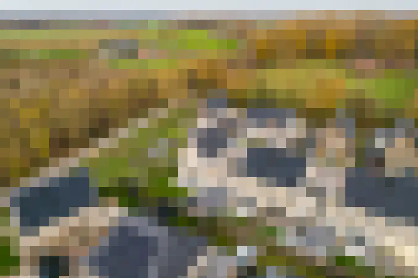 Braambes 11 Borne thumbnail 44