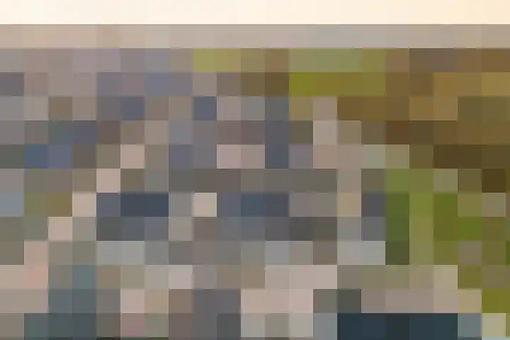 Braambes 11 Borne thumbnail 45
