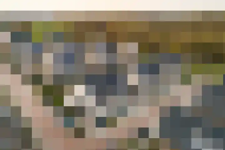 Braambes 11 Borne thumbnail 46