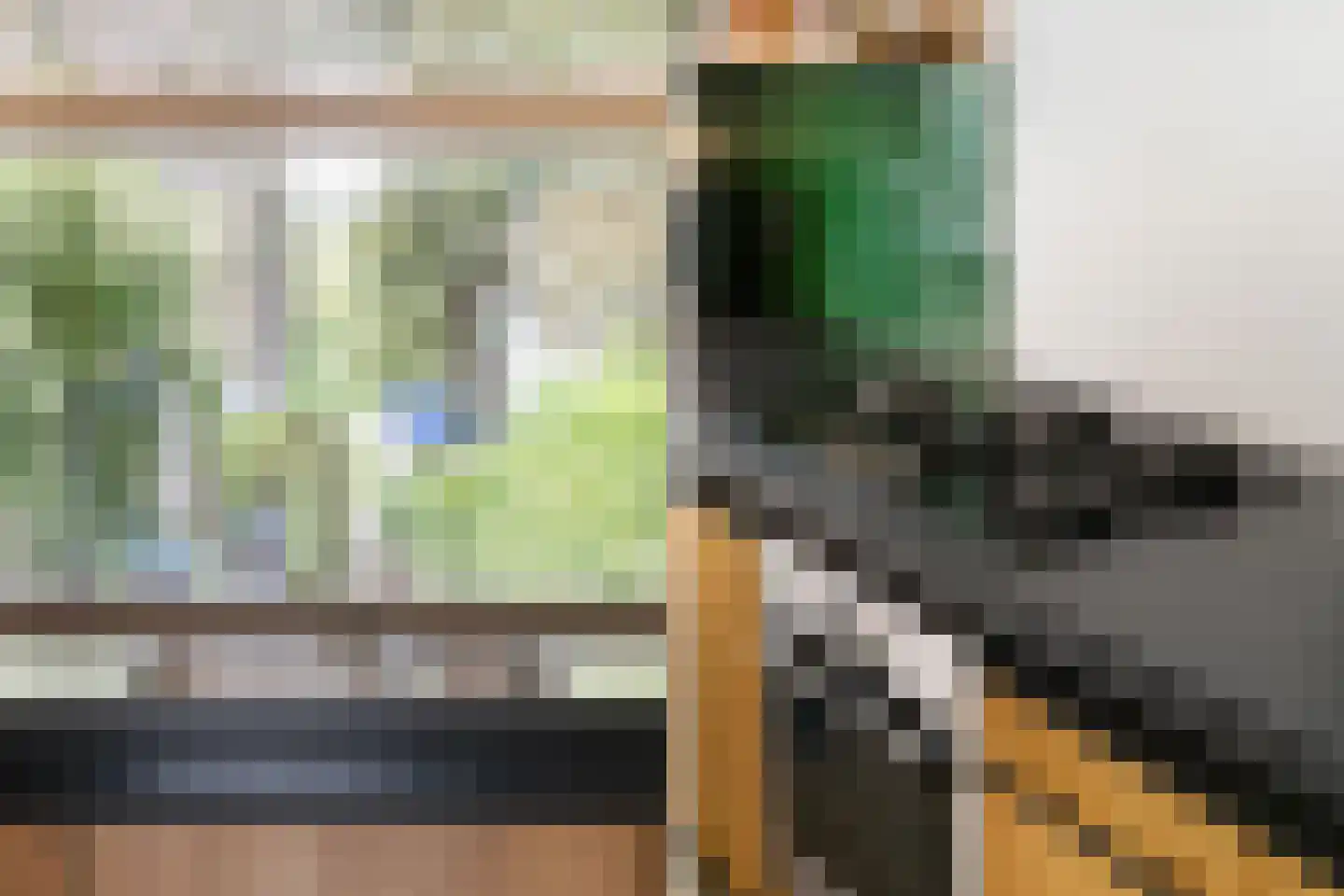Braambes 11 Leiden thumbnail 12