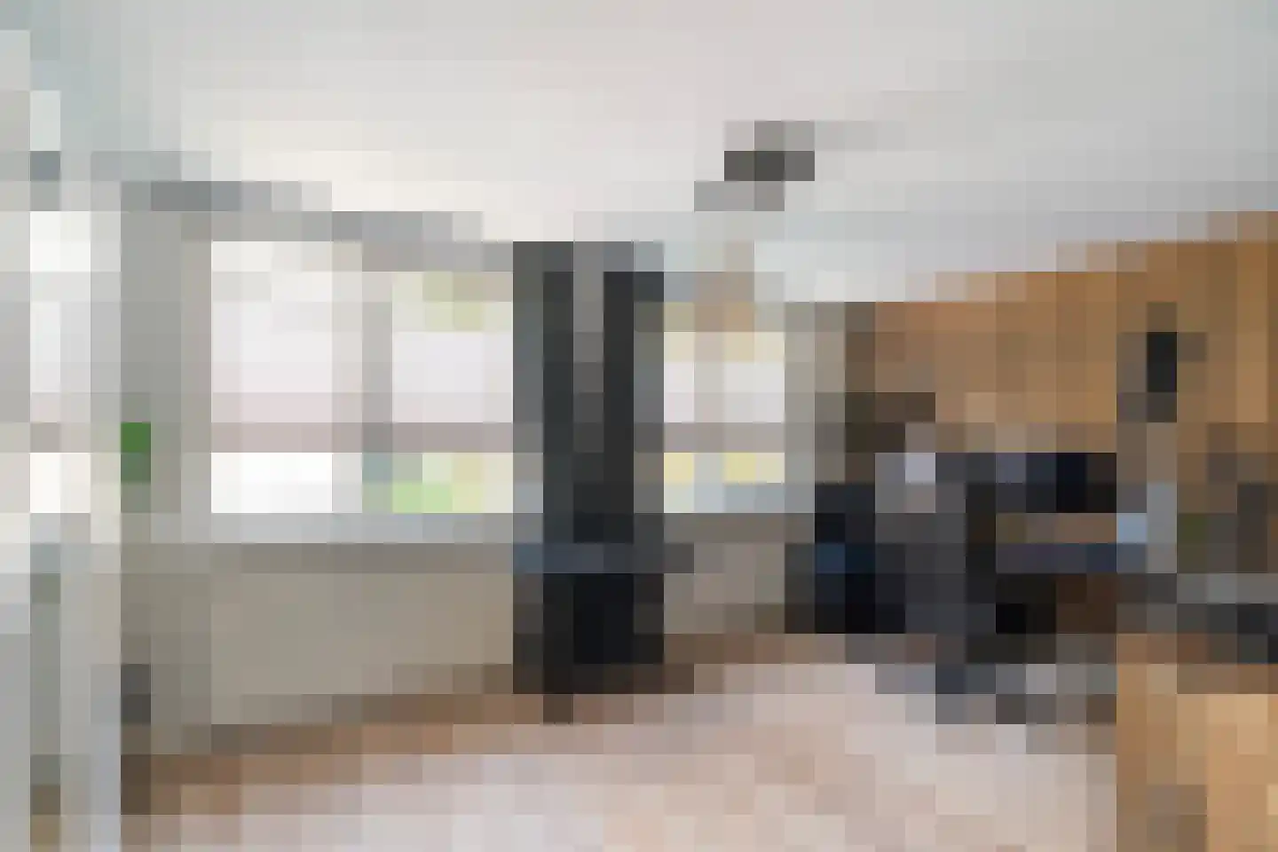 Braambes 11 Leiden thumbnail 15