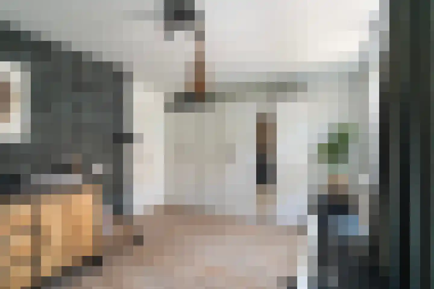 Braambes 11 Leiden thumbnail 16