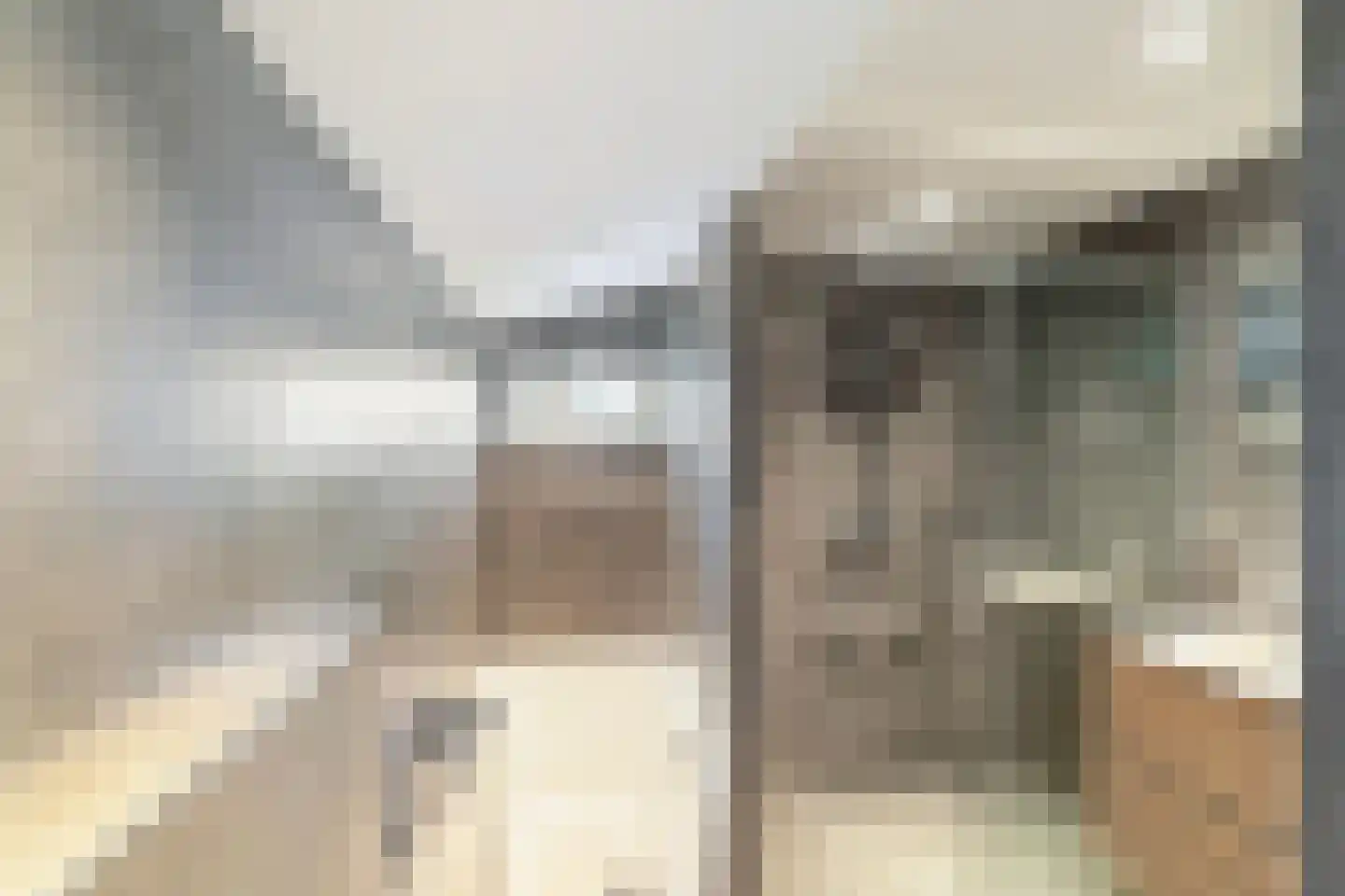 Braambes 11 Leiden thumbnail 21