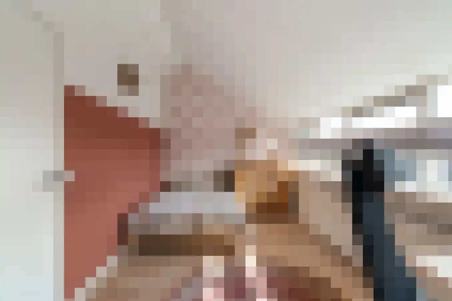 Braambes 11 Leiden thumbnail 24