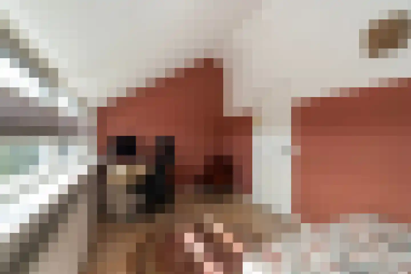 Braambes 11 Leiden thumbnail 25