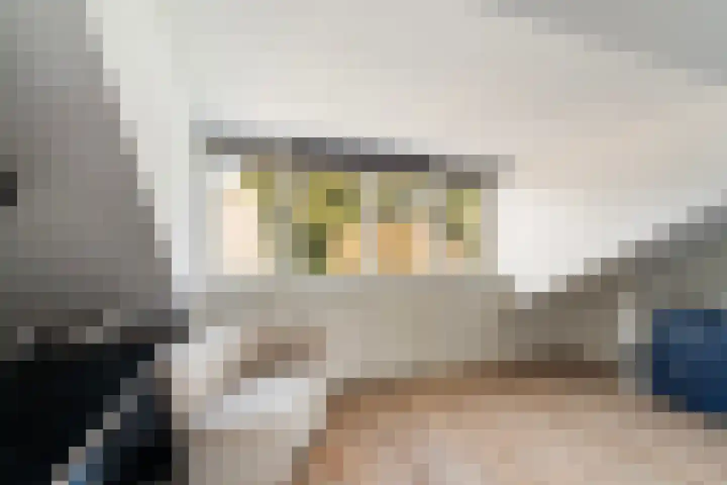 Braambes 11 Leiden thumbnail 27