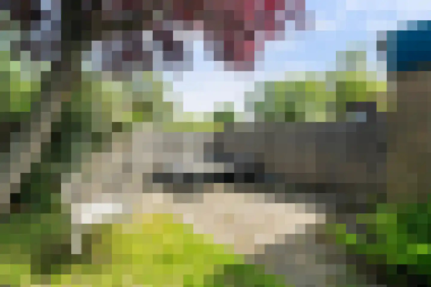 Braambes 11 Leiden thumbnail 31