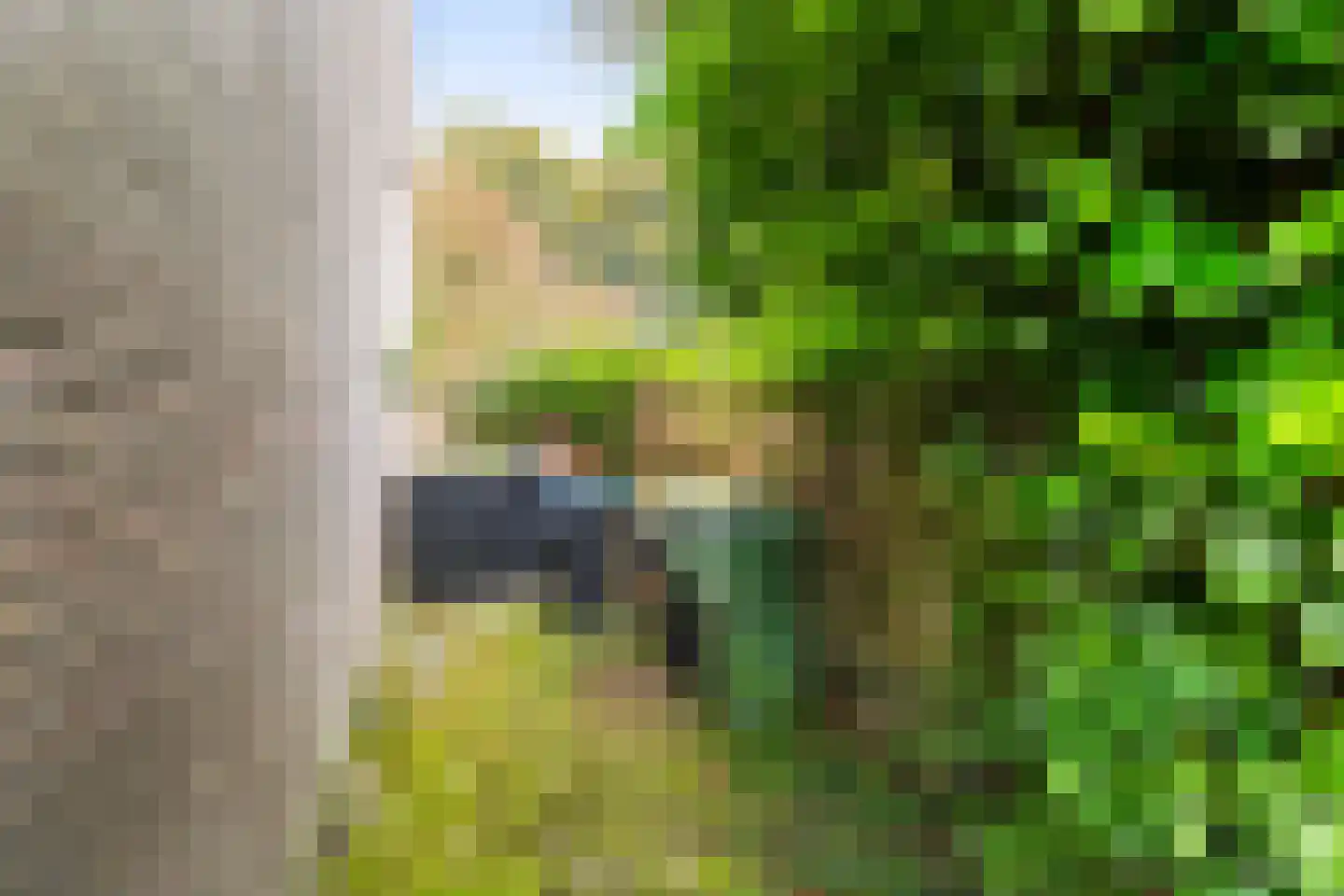 Braambes 11 Leiden thumbnail 32