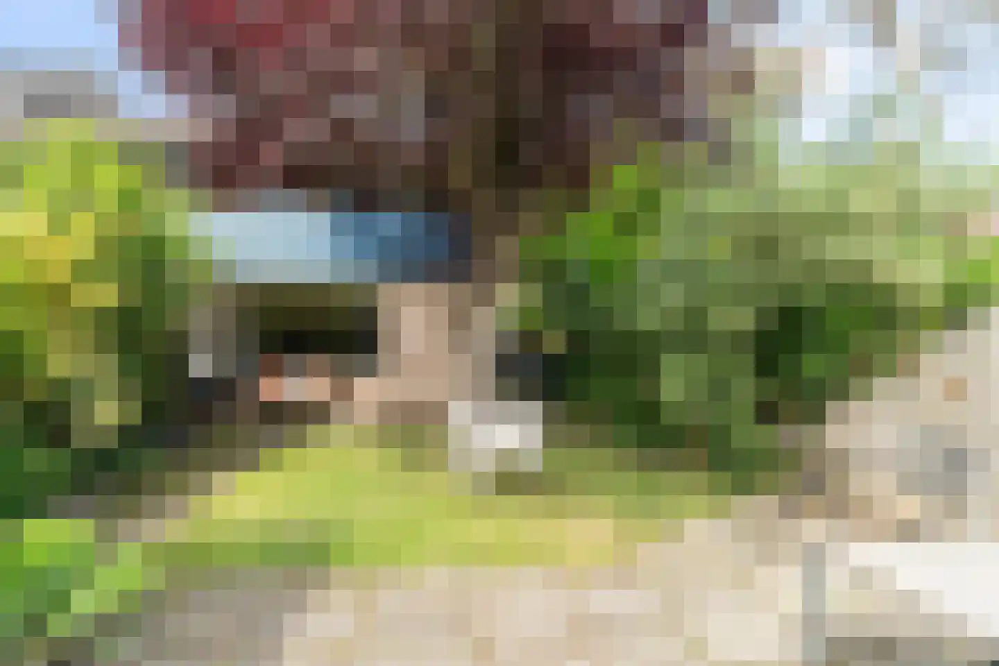 Braambes 11 Leiden thumbnail 33