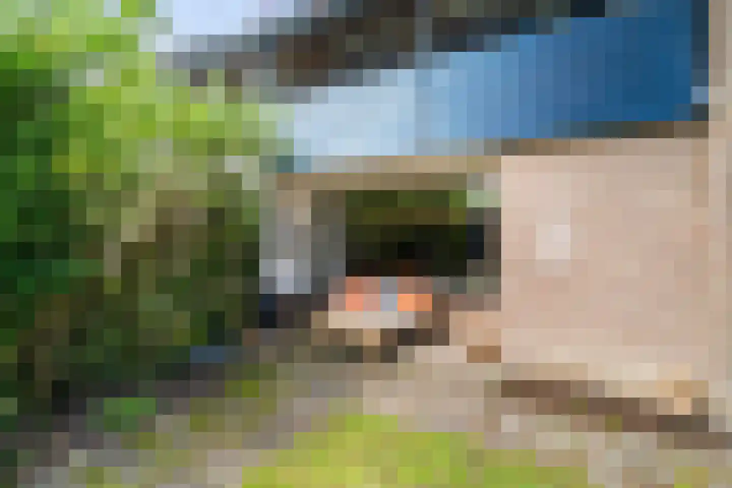 Braambes 11 Leiden thumbnail 34