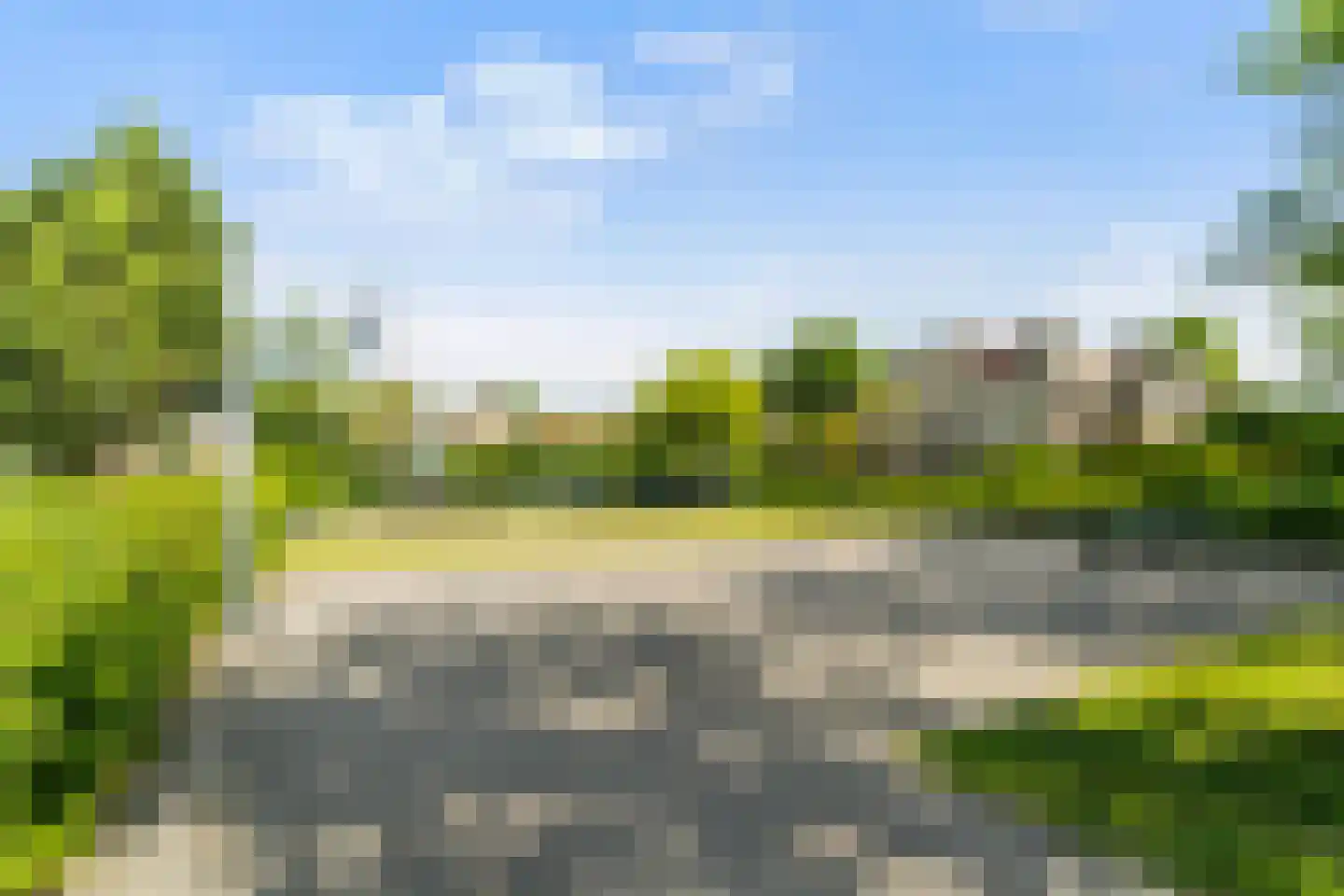 Braambes 11 Leiden thumbnail 35