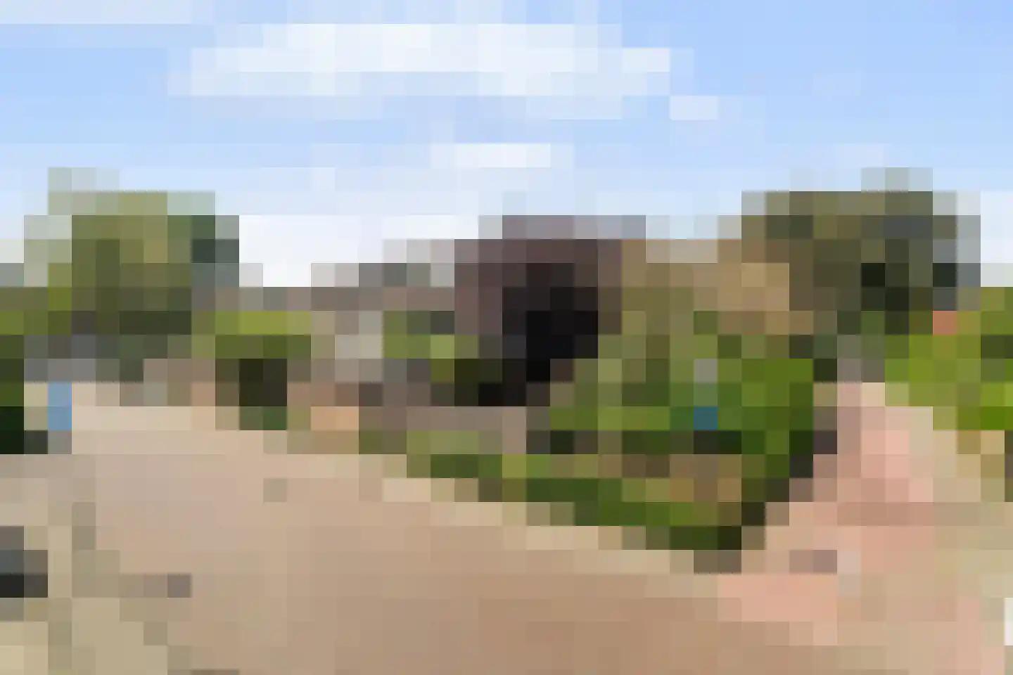 Braambes 11 Leiden thumbnail 36