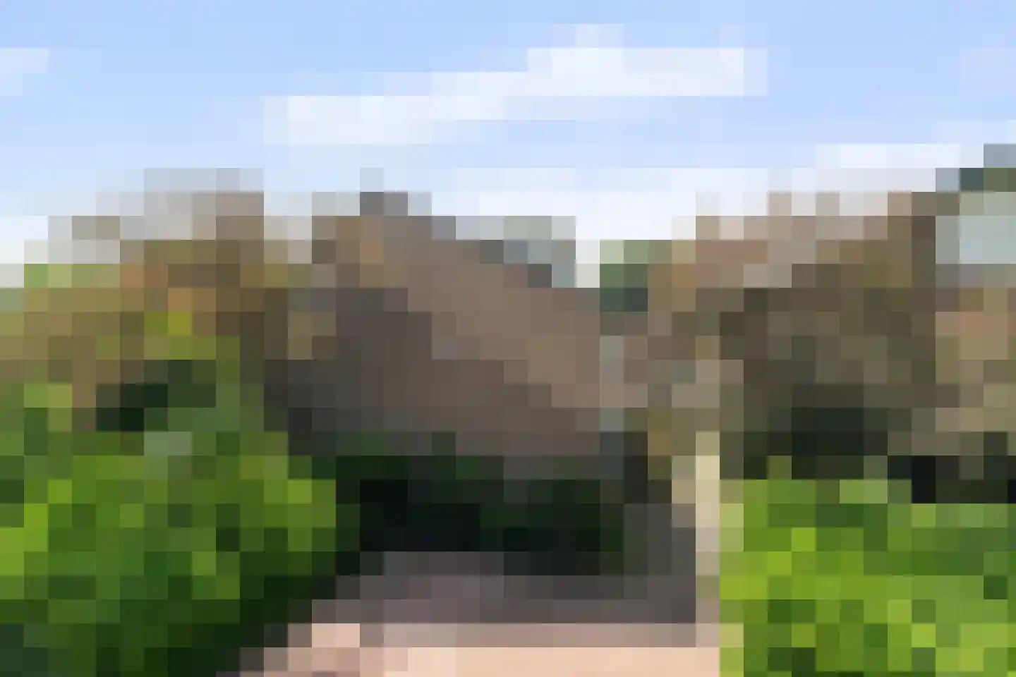 Braambes 11 Leiden thumbnail 37