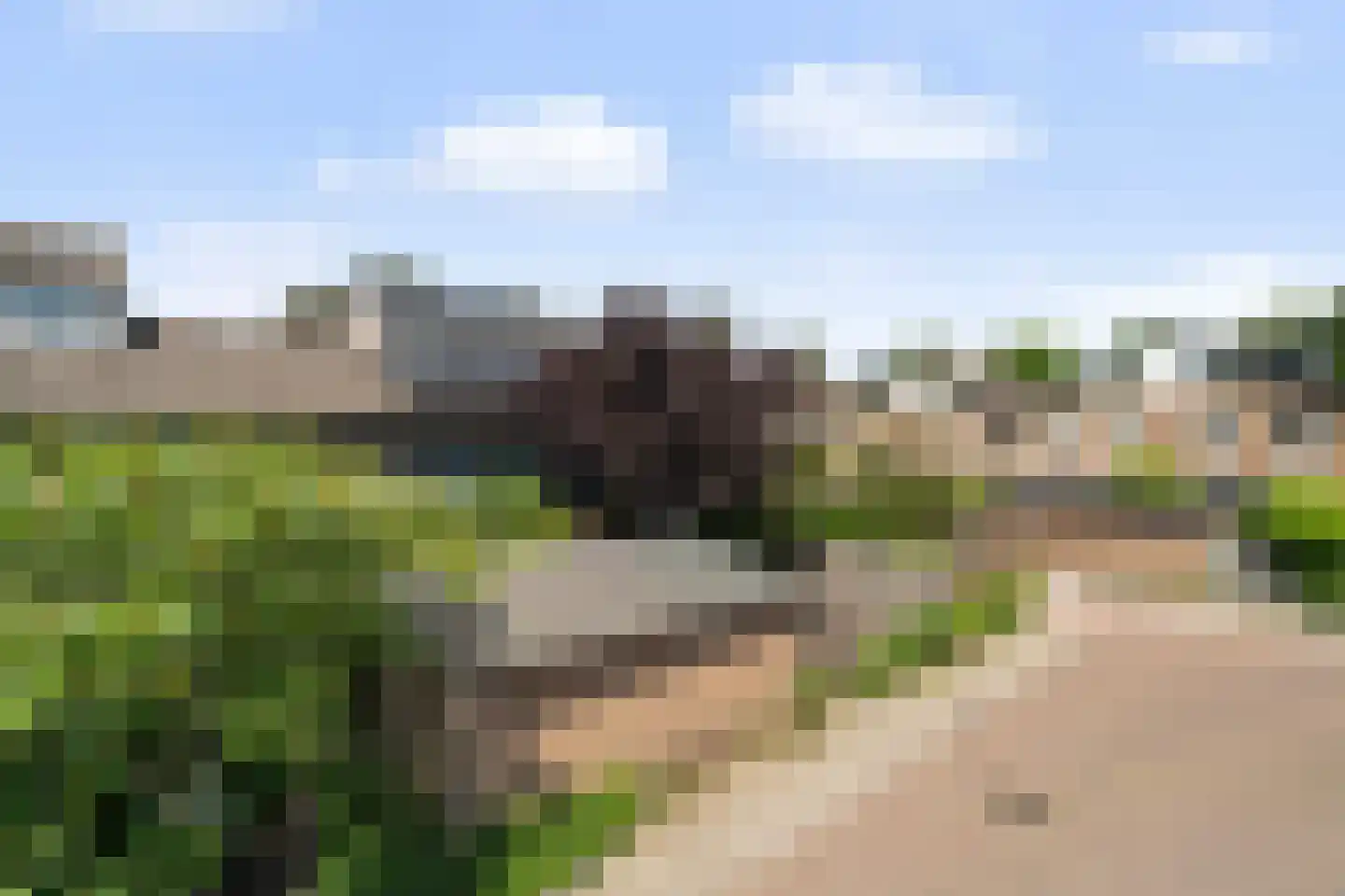 Braambes 11 Leiden thumbnail 38
