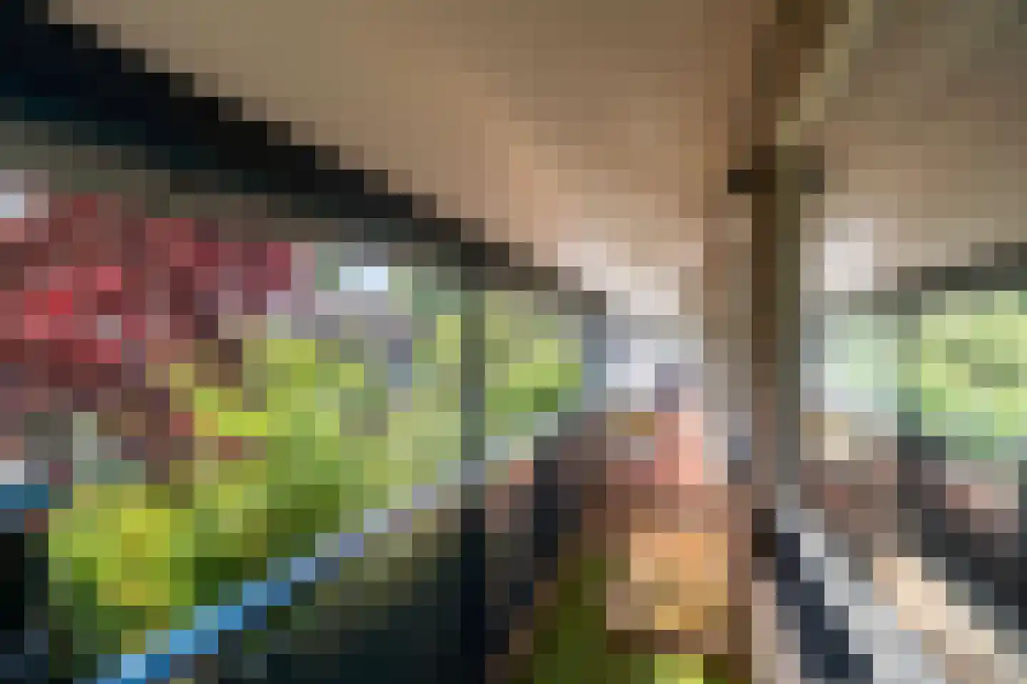 Braambes 11 Leiden thumbnail 39