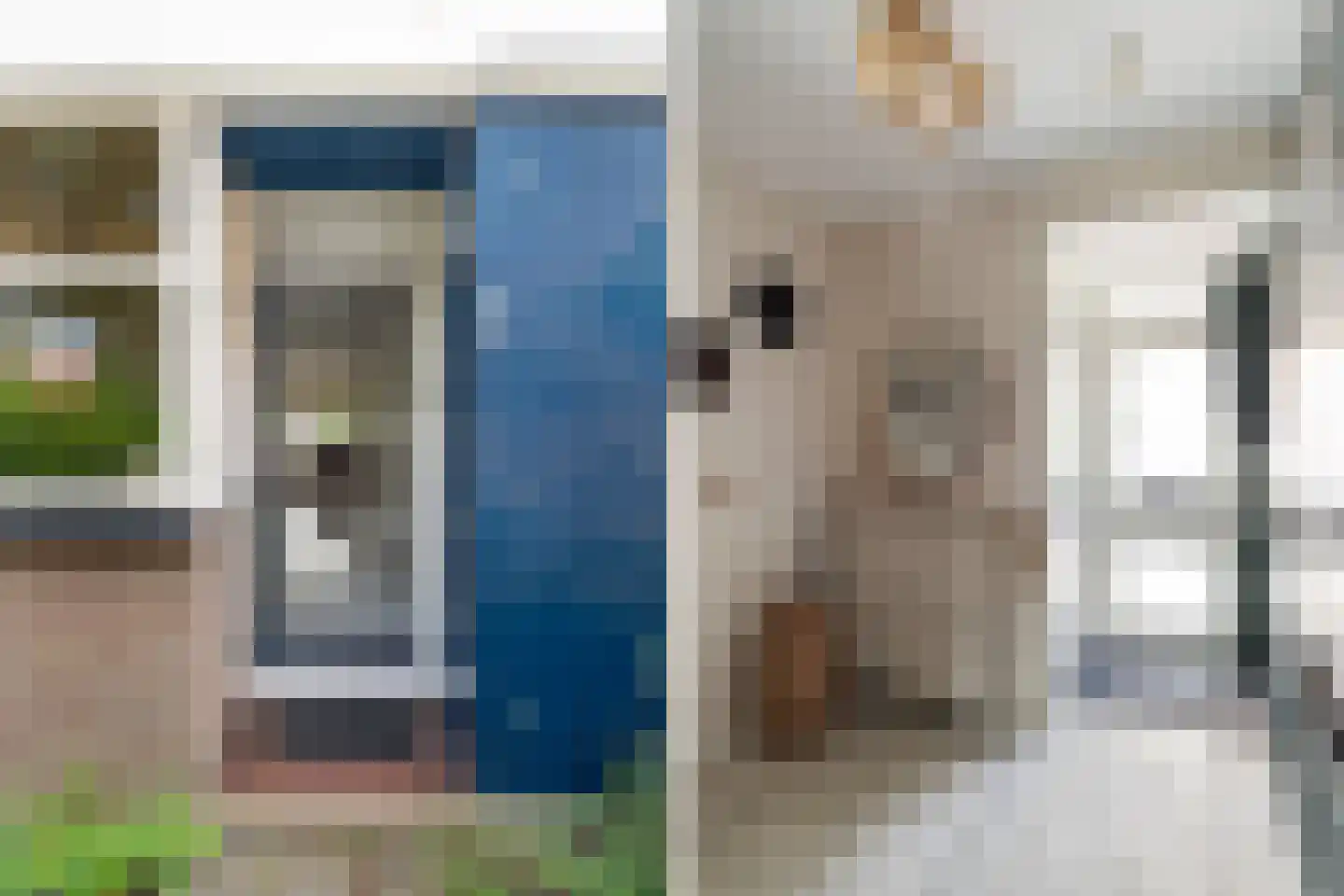 Braambes 11 Leiden thumbnail 4