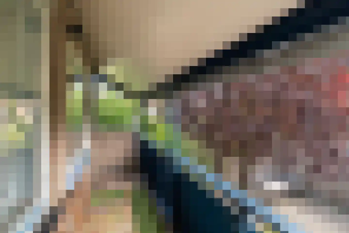 Braambes 11 Leiden thumbnail 40