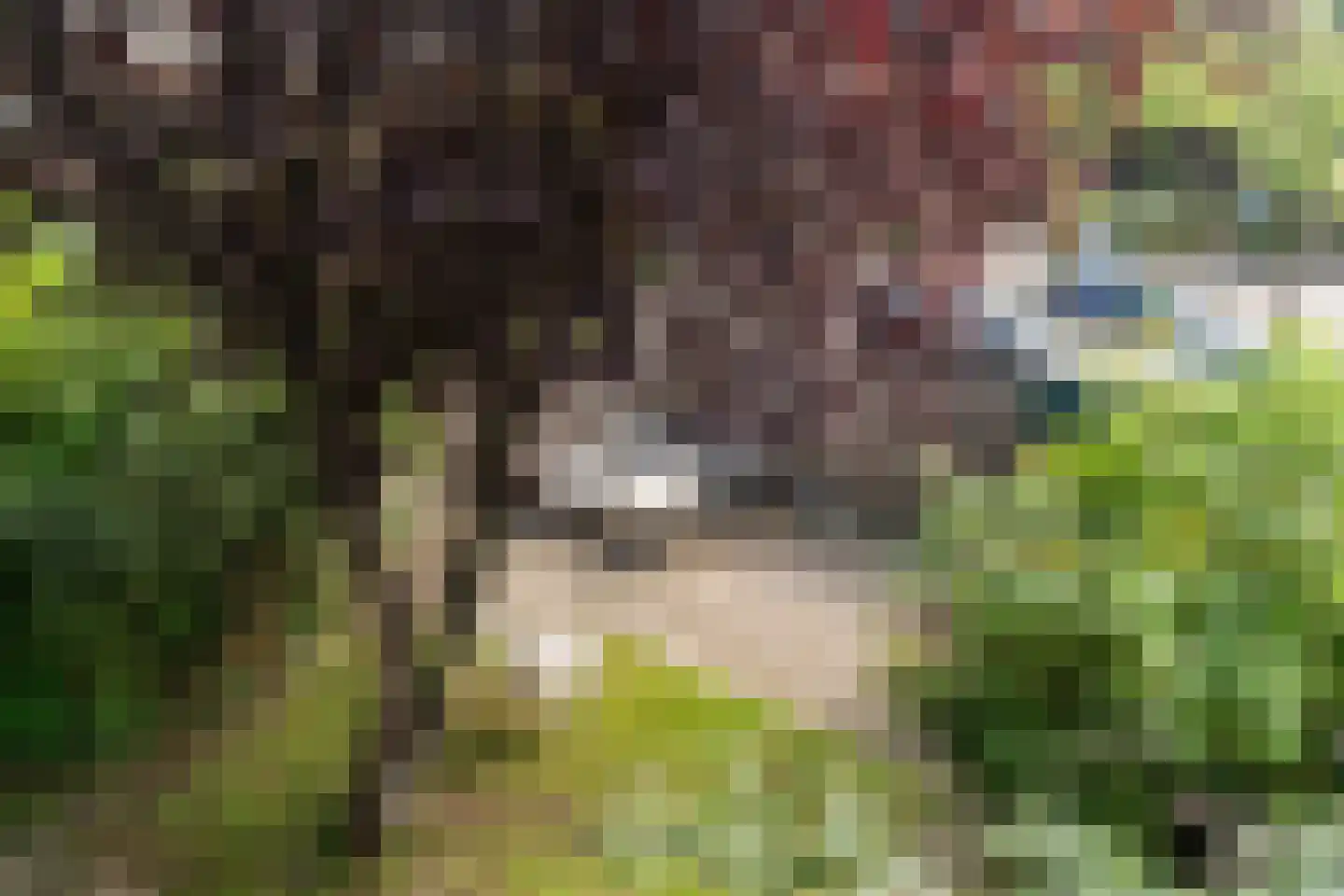Braambes 11 Leiden thumbnail 41