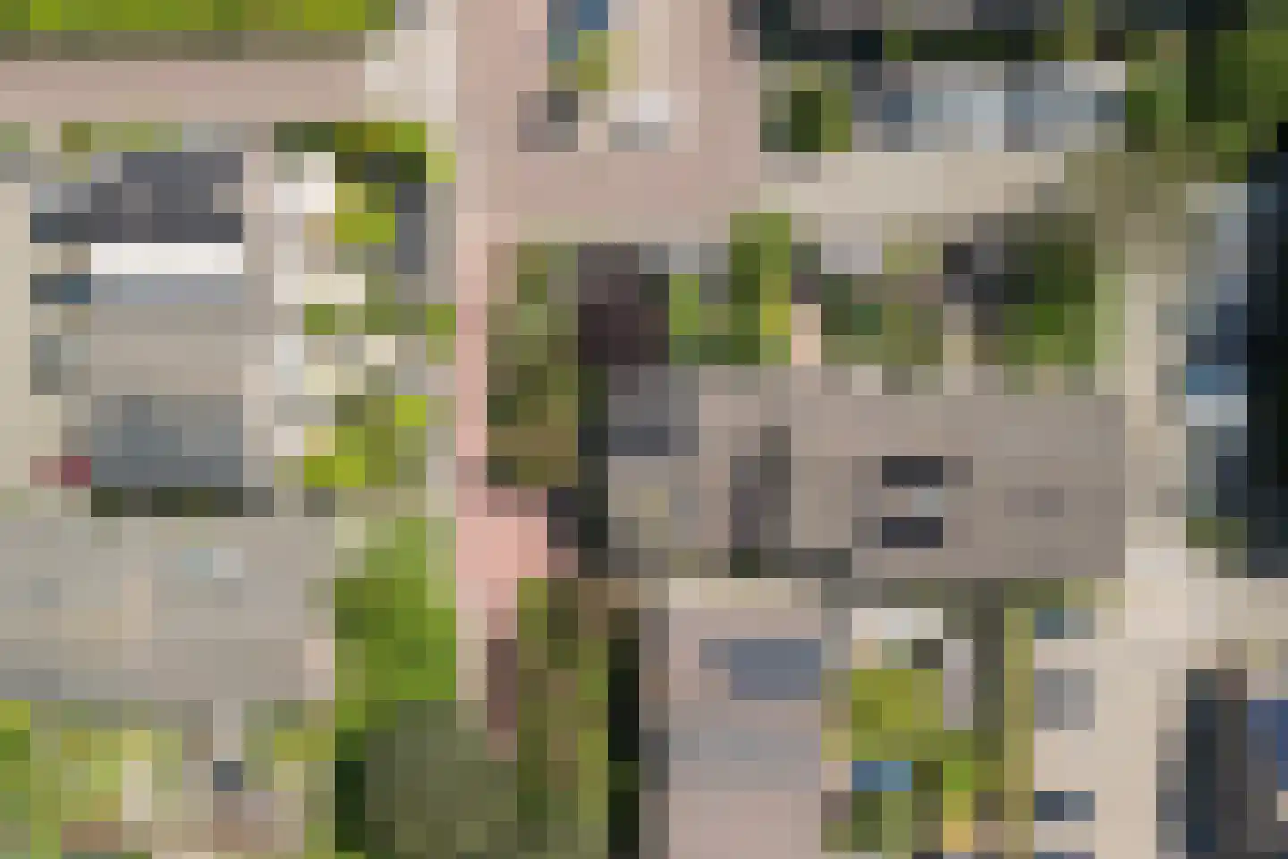 Braambes 11 Leiden thumbnail 42