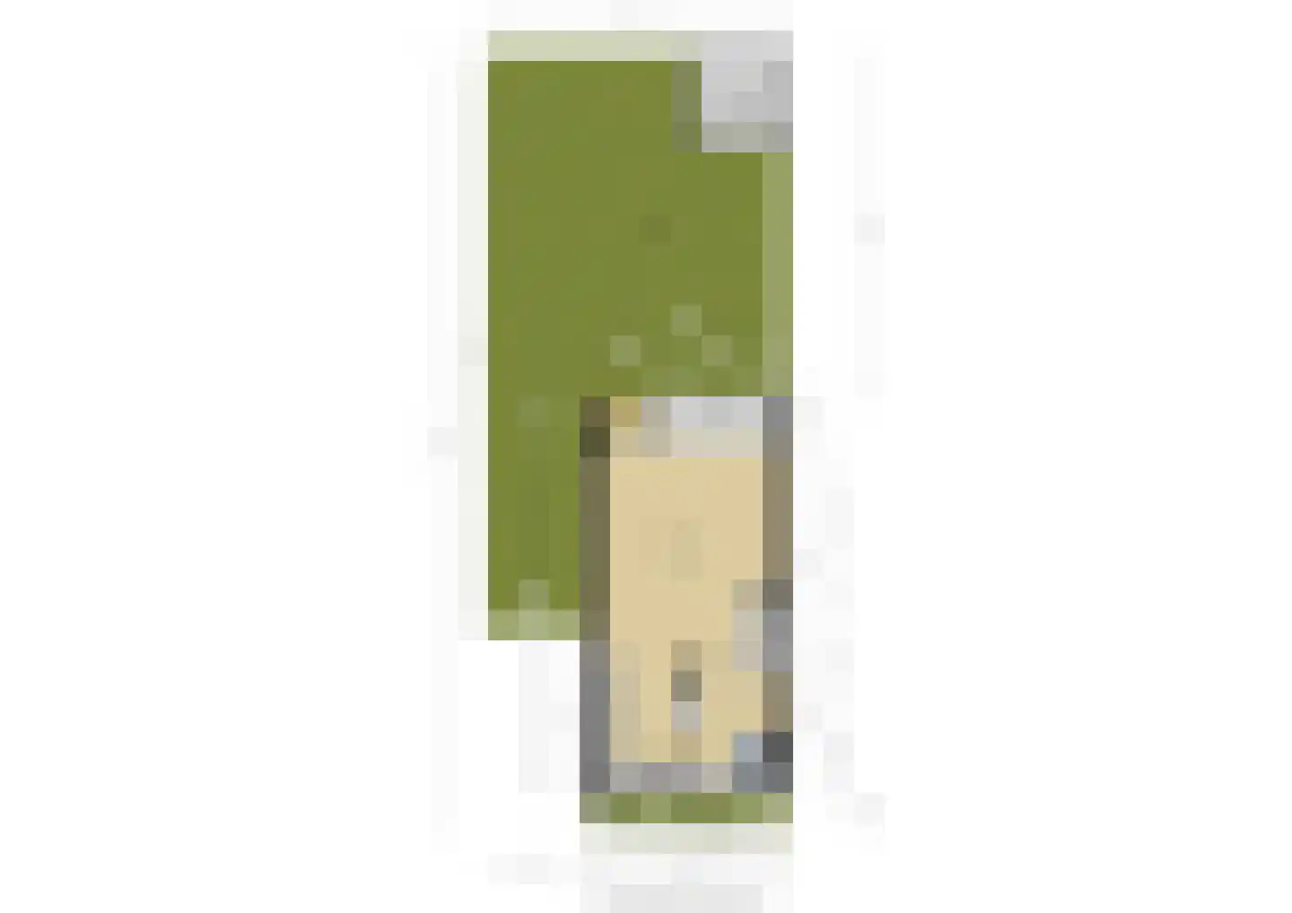 Braambes 11 Leiden thumbnail 49