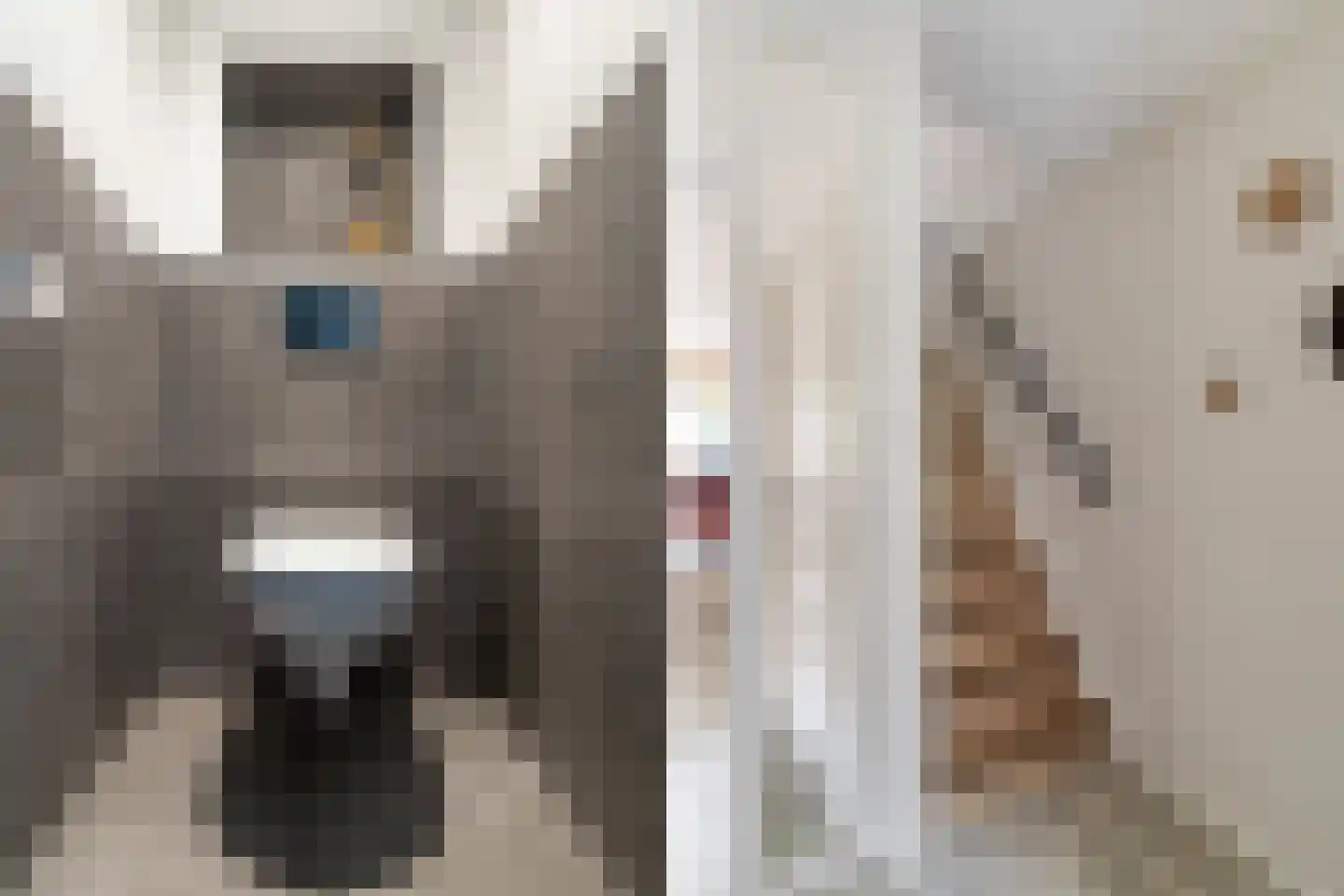 Braambes 11 Leiden thumbnail 5