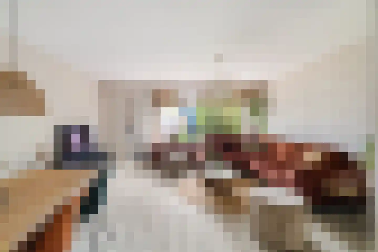 Braambes 11 Leiden thumbnail 6