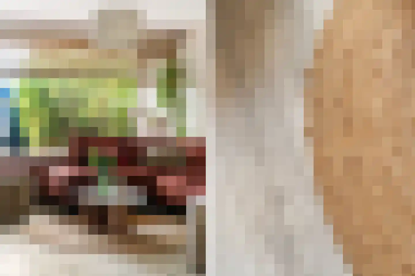 Braambes 11 Leiden thumbnail 9