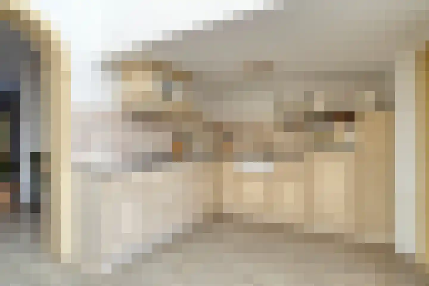 Braambes 21 Oss thumbnail 14
