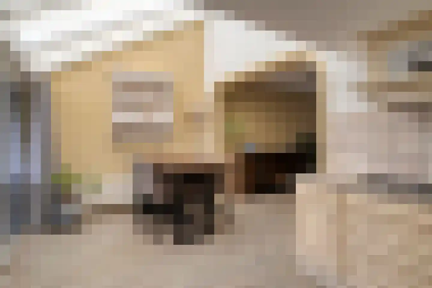 Braambes 21 Oss thumbnail 15