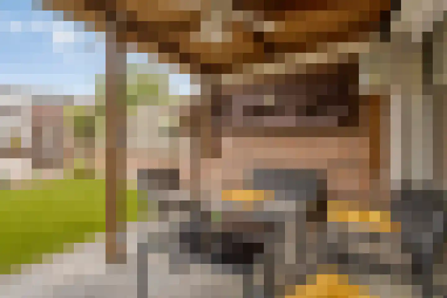 Braambes 21 Oss thumbnail 17